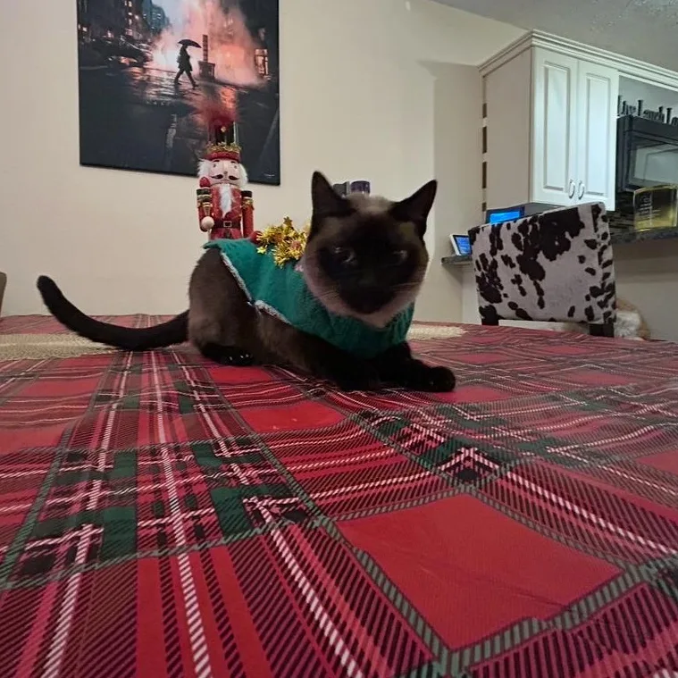 Harlee And Marlee thumbnail 5