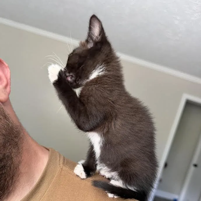 Hershey thumbnail 3