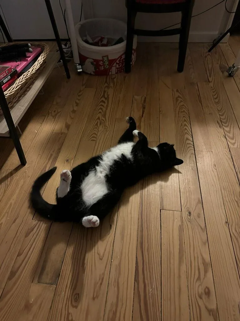 Licorice thumbnail 2