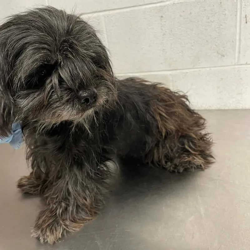 Georgia C thumbnail 2