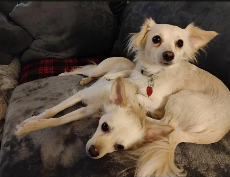 Bobby And Jimmy thumbnail 2