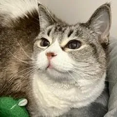 Gretapretty Lady Comes With