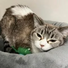 Gretapretty Lady Comes With thumbnail 3