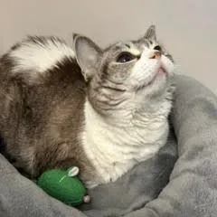 Gretapretty Lady Comes With thumbnail 5