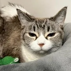 Gretapretty Lady Comes With thumbnail 6