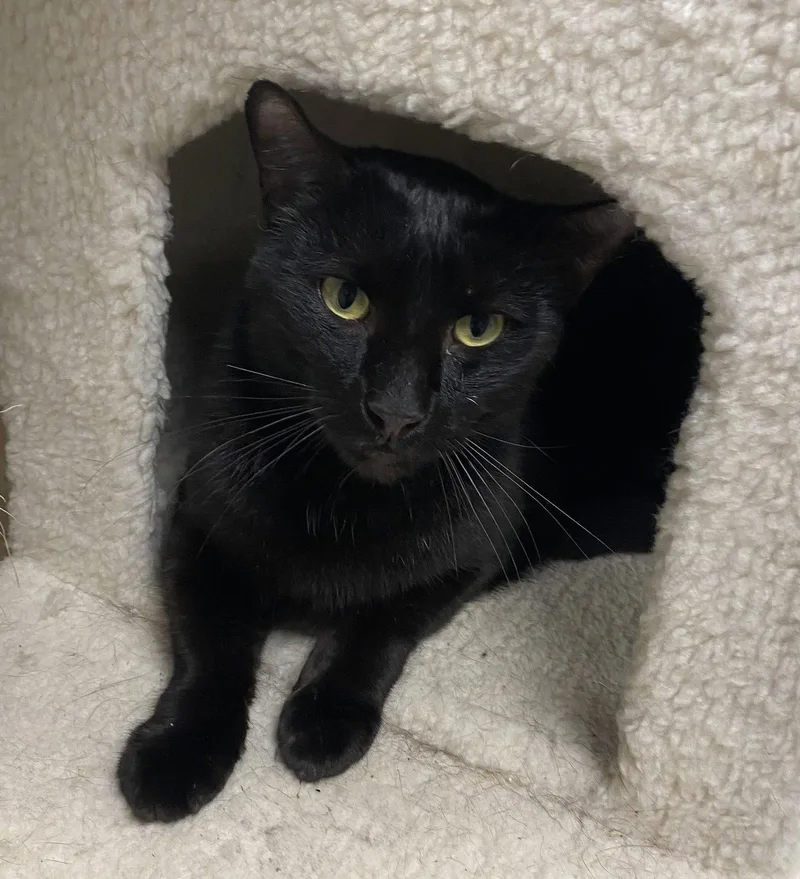 Jahan Yo thumbnail 2