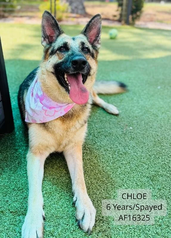 Chloe