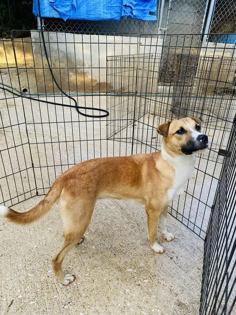 Clementine thumbnail 2