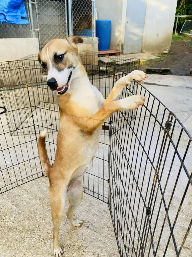 Clementine thumbnail 4