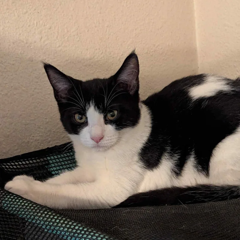 Jodi Gentle And Easy thumbnail 4