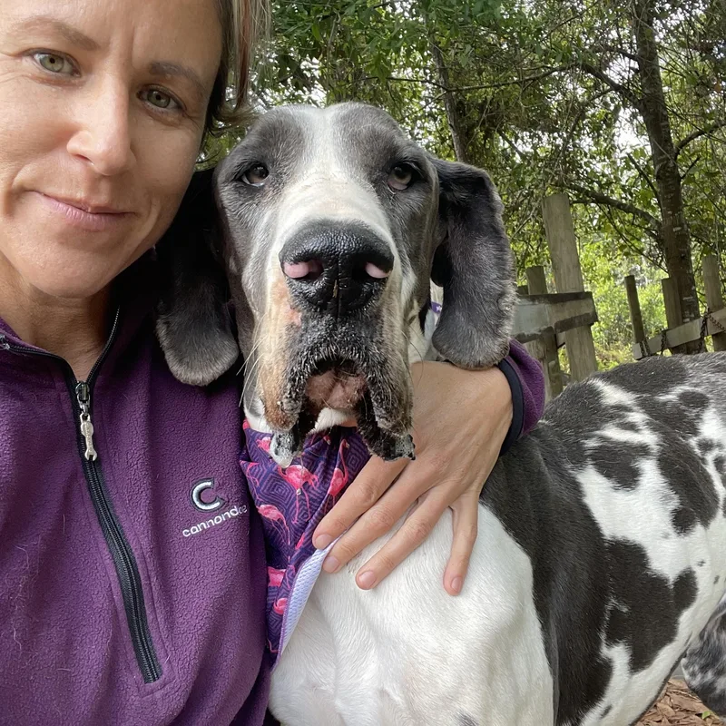 Lady Bug thumbnail 6