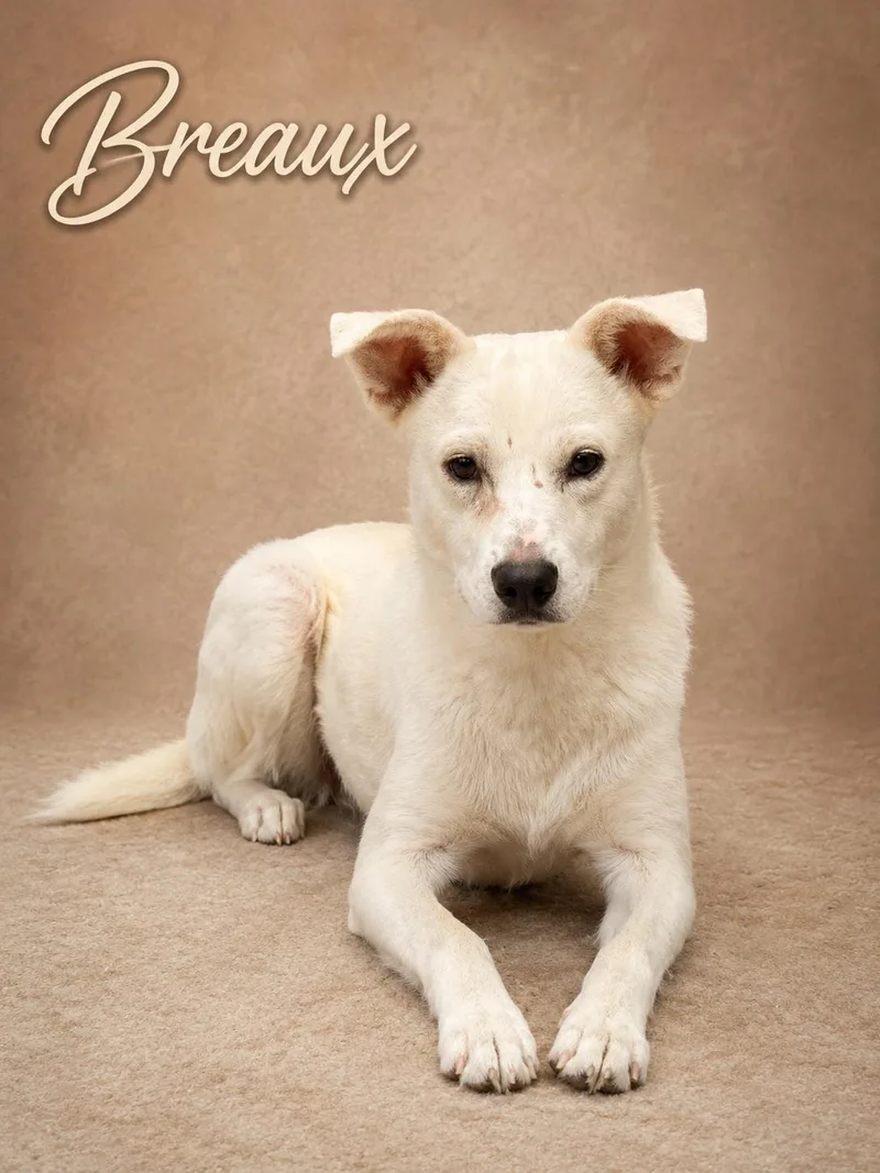 Breaux