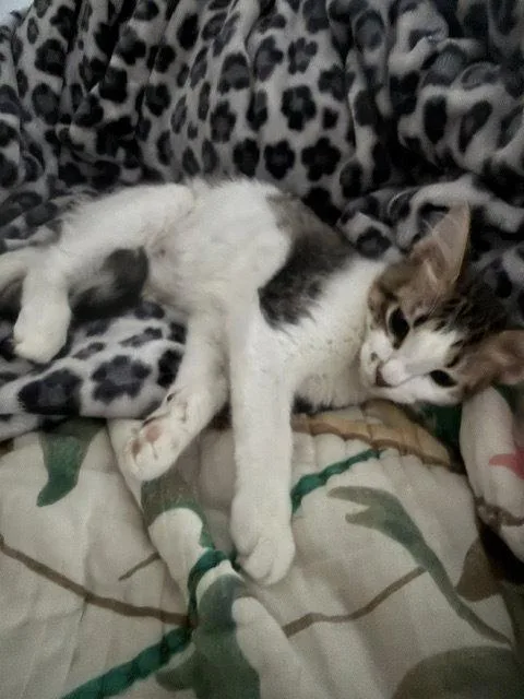Tilly thumbnail 2