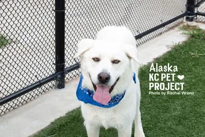 Alaska