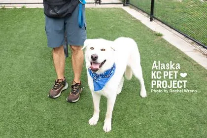 Alaska thumbnail 2