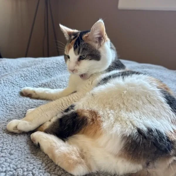 Daisy Mae