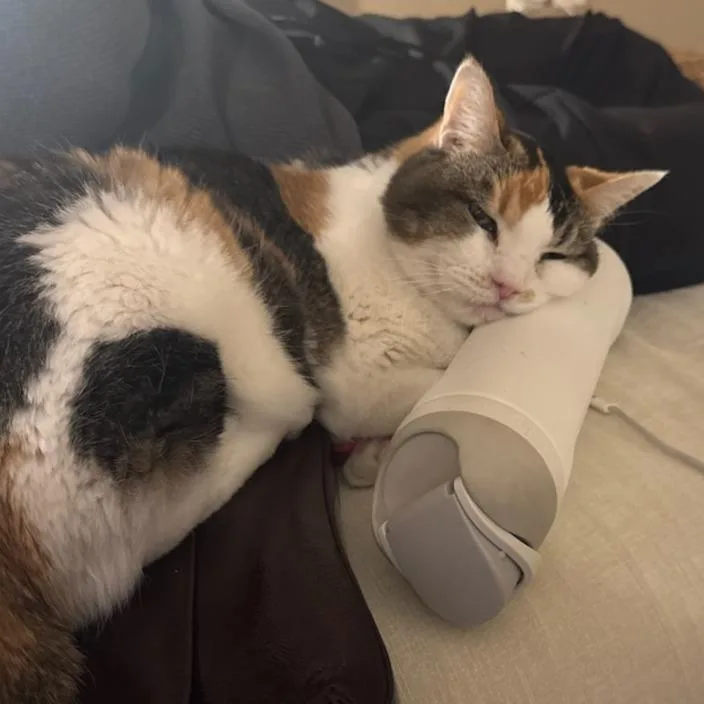 Daisy Mae thumbnail 2