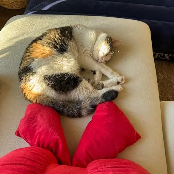 Daisy Mae thumbnail 6