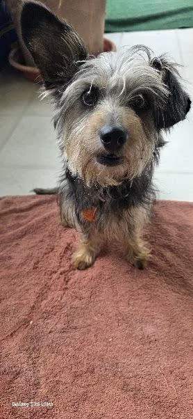Zoey