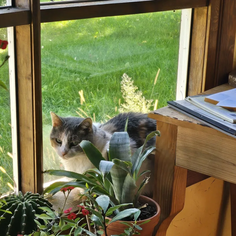 Gretel thumbnail 2