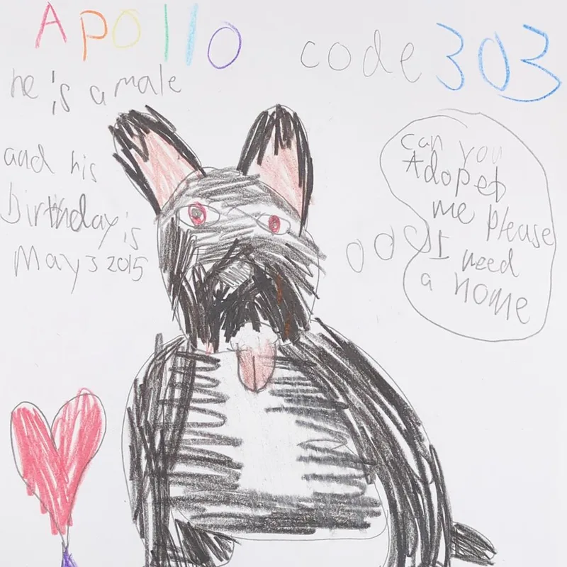 Apollo thumbnail 5