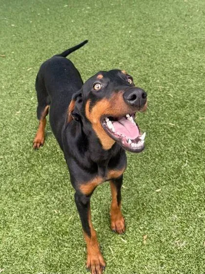 Dj Snackpack thumbnail 2