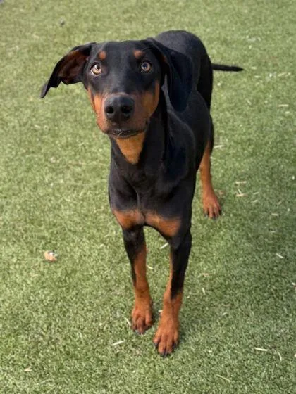 Dj Snackpack thumbnail 3