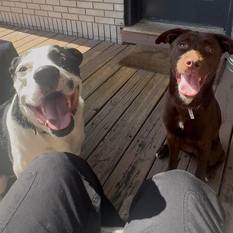 Nala thumbnail 2