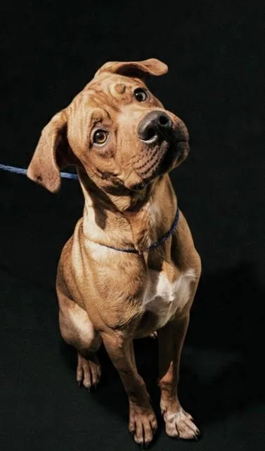 Milo