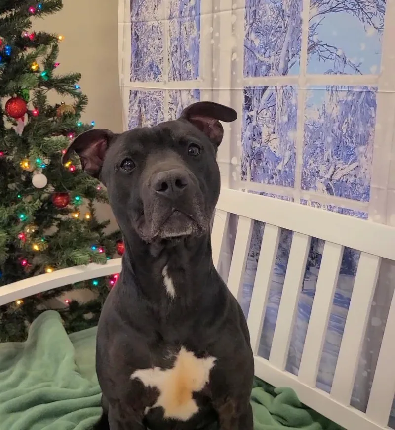 Mars Yrly thumbnail 2