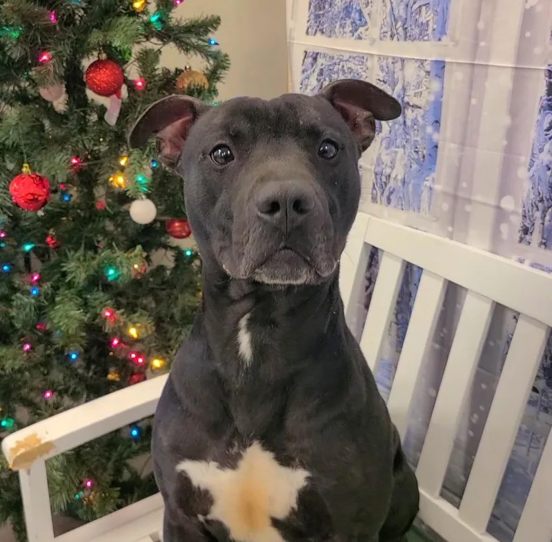 Mars Yrly thumbnail 3