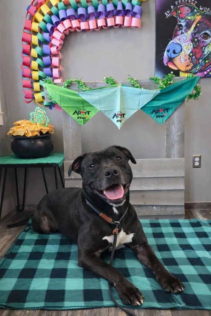 Mars Yrly thumbnail 4