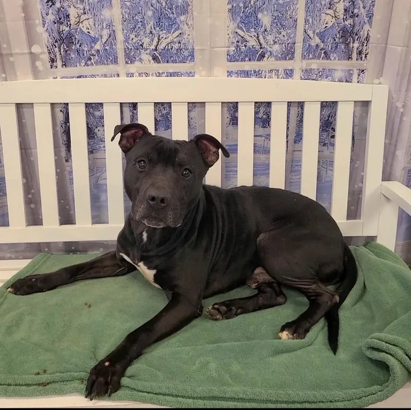 Mars Yrly thumbnail 5