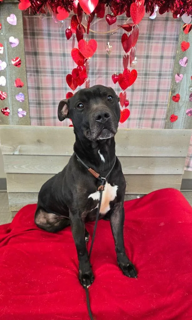 Mars Yrly thumbnail 6