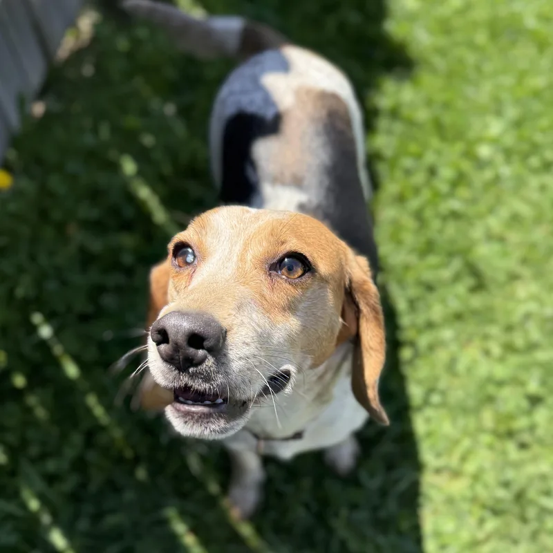 April thumbnail 4