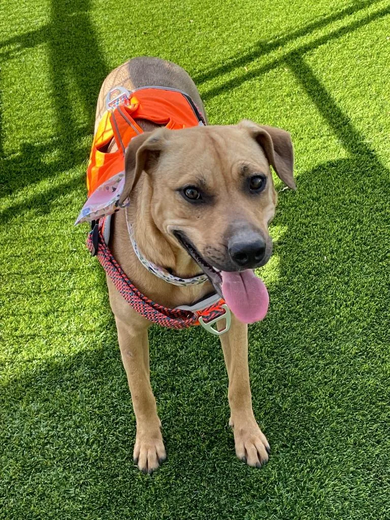 Miki Aka Mikasa thumbnail 3