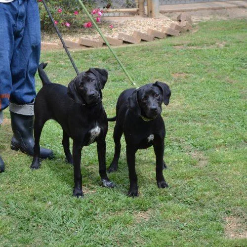 Sunny Sue thumbnail 2