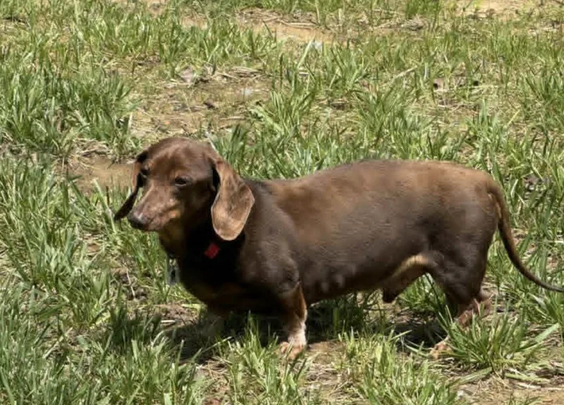 Hershey thumbnail 2