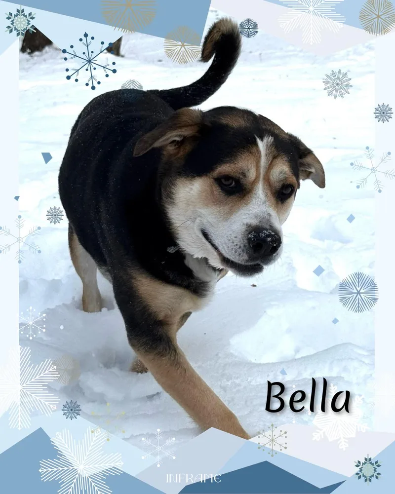 Bella thumbnail 3