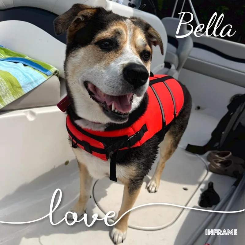Bella thumbnail 4