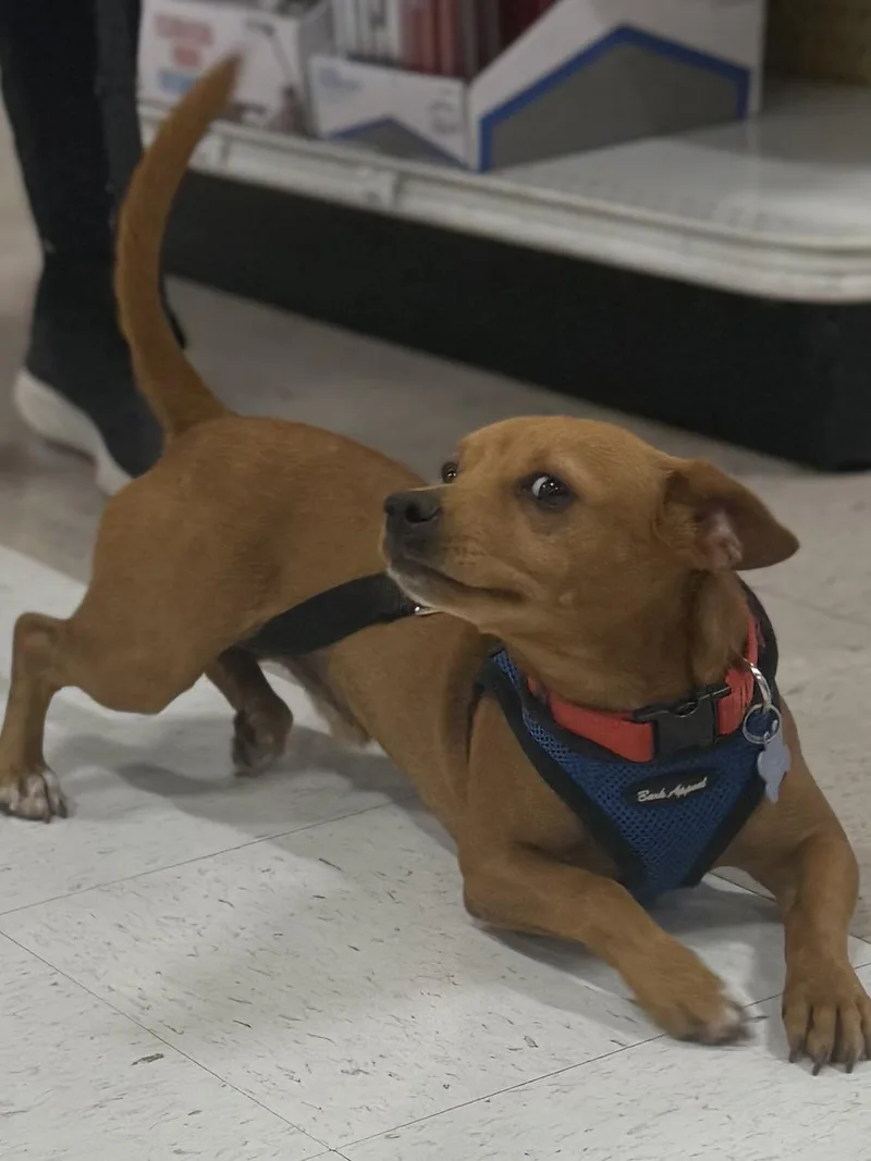 Andy thumbnail 5