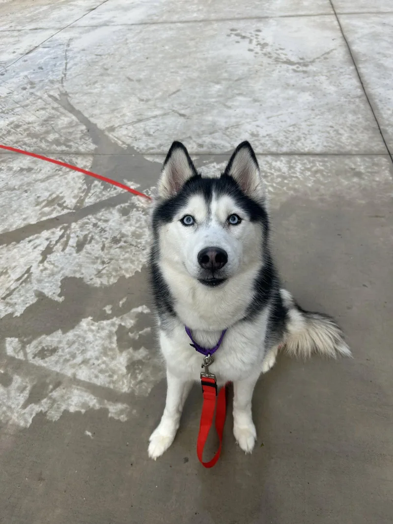 Keya