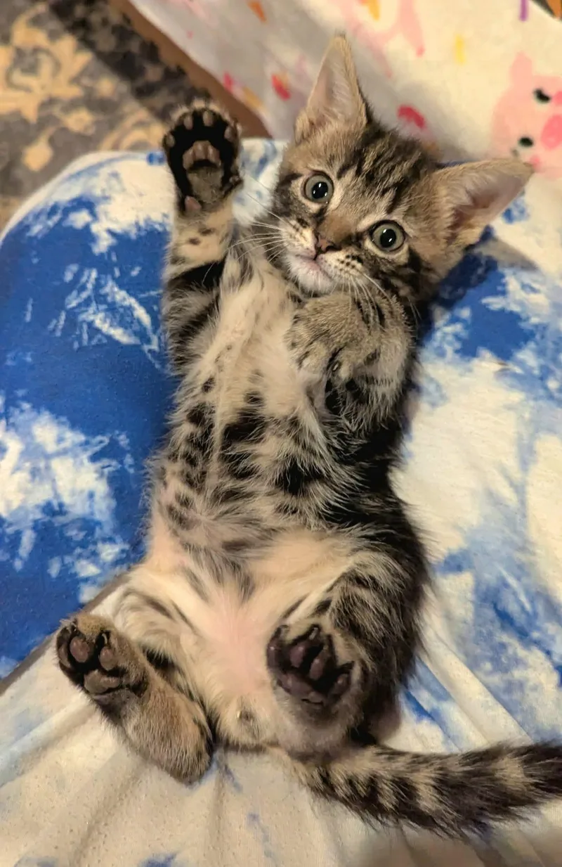 Charlie