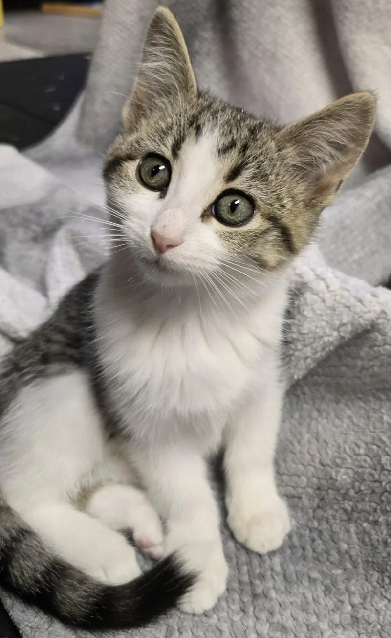 Meg thumbnail 3
