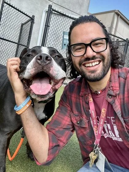 An adult large-sized male Mixed Breed dog named Raider for adoption in Wichita, KS
