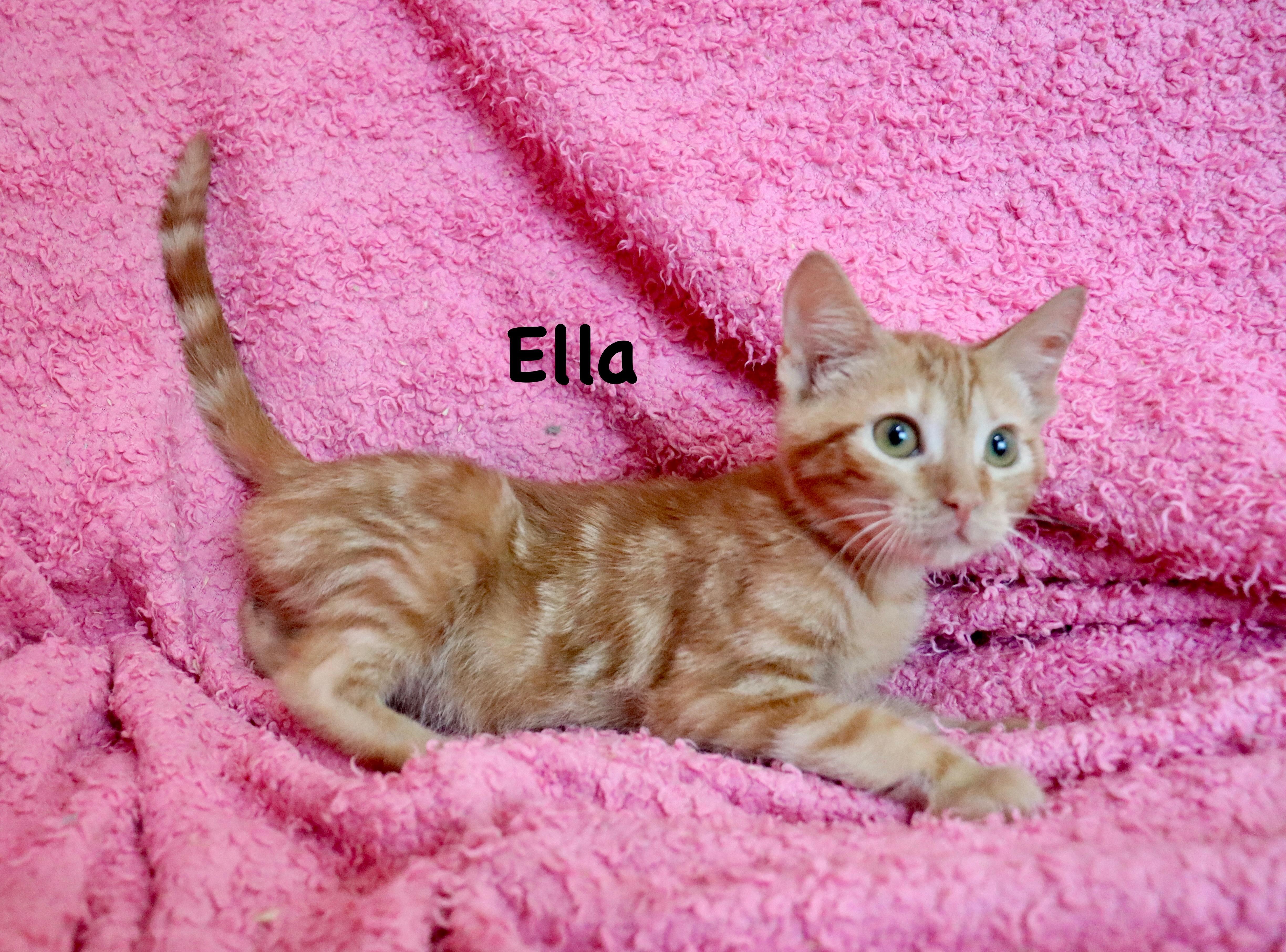 Ella thumbnail 2
