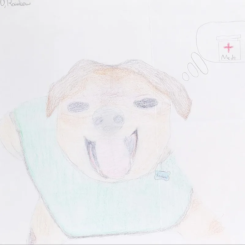 Rainbow thumbnail 3