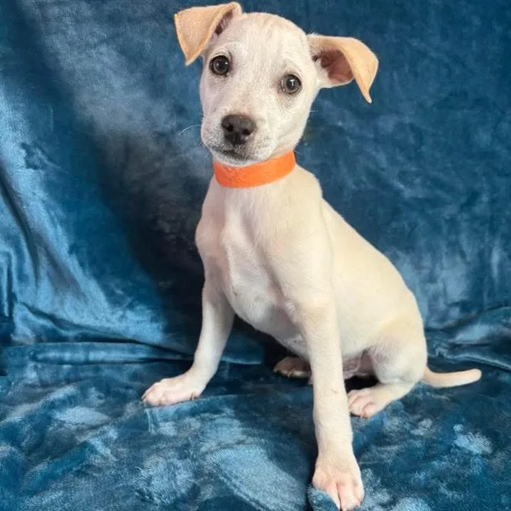 Callum C thumbnail 6