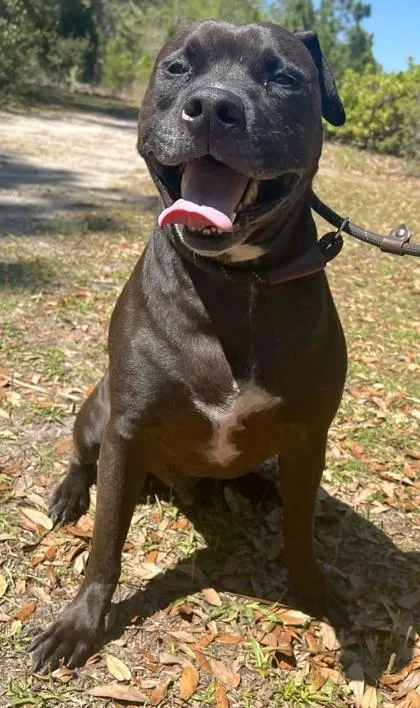 Mr. Worldwide thumbnail 3