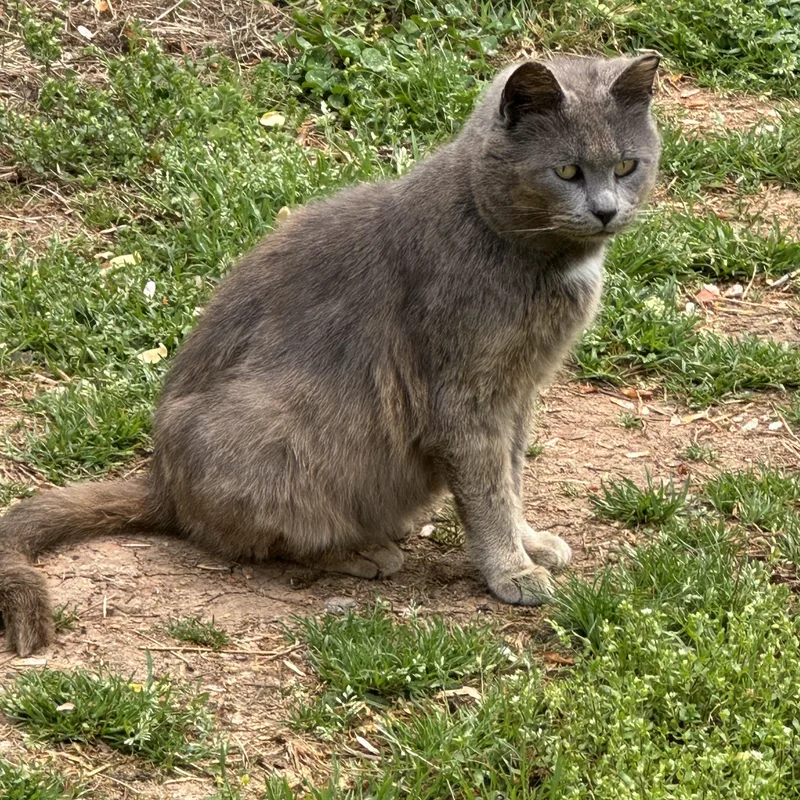 Precious Momma thumbnail 2